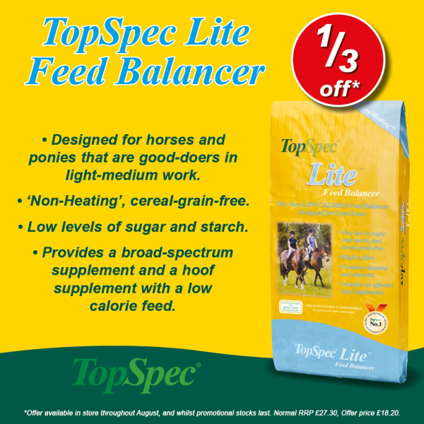 TopSpec offer graphic 6 – GB