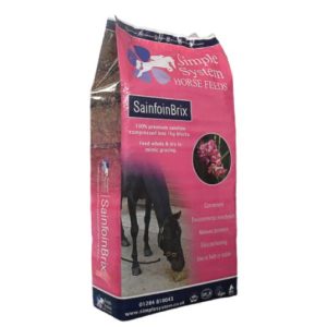 Simple System Sainfoin Brix Bag