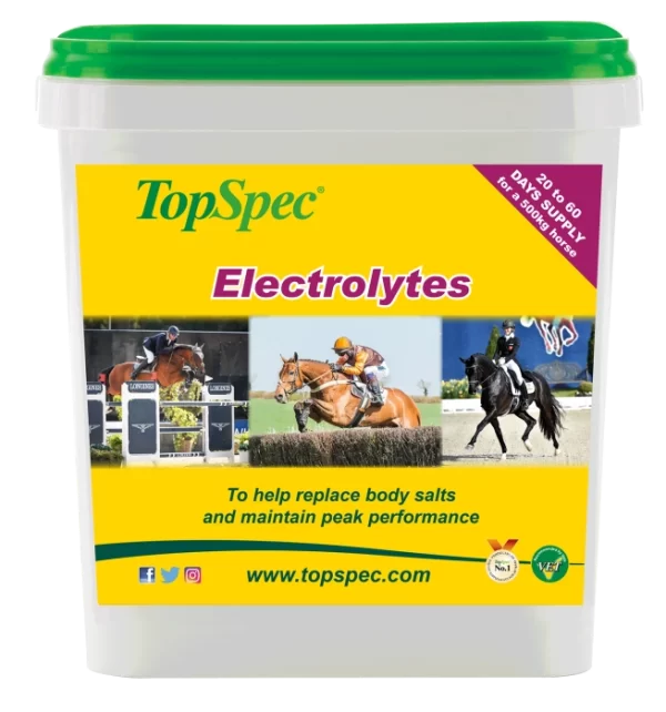 TopSpec Electrolytes 3kg